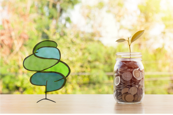 Baum Geld